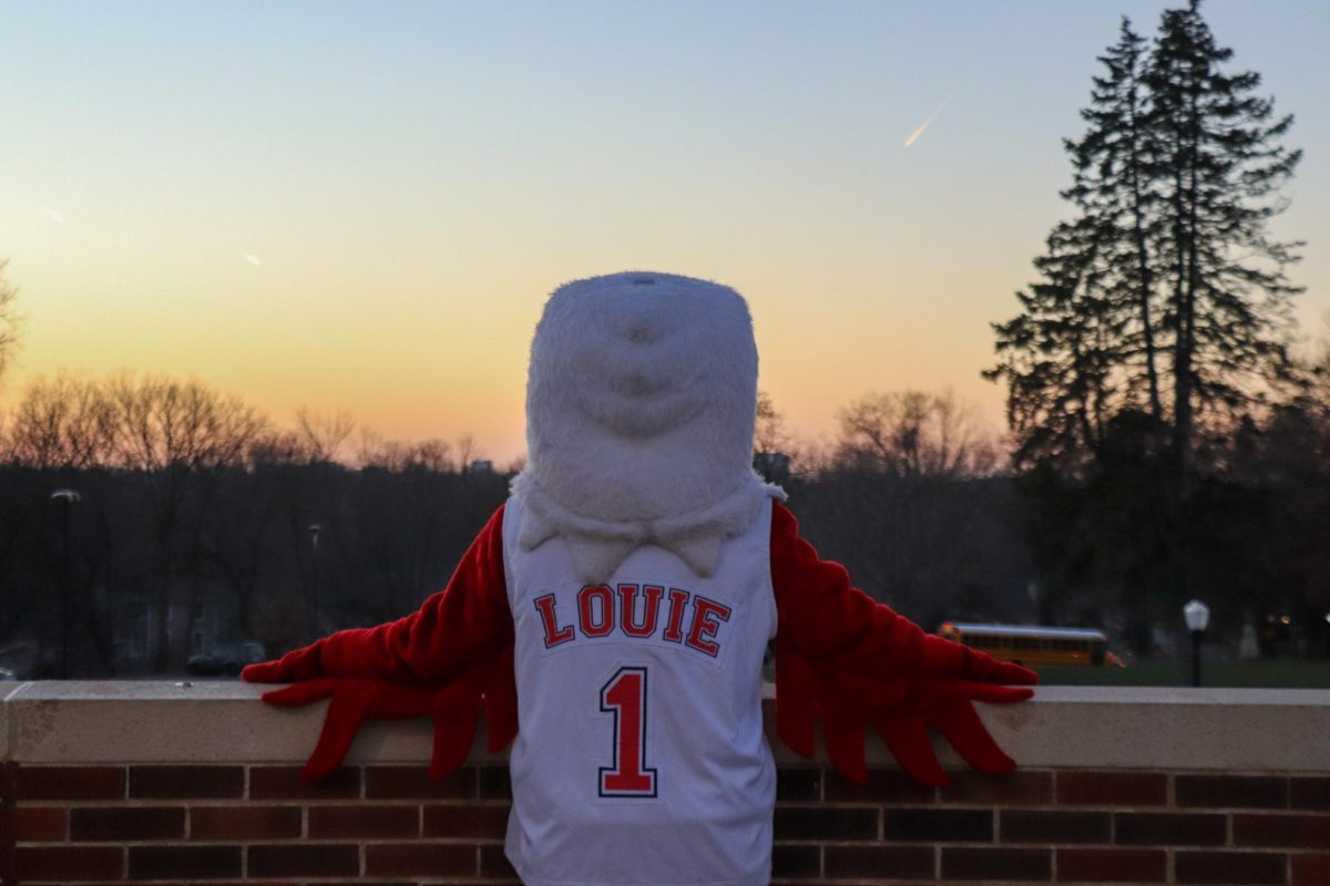 Louie admires the sunset from City High