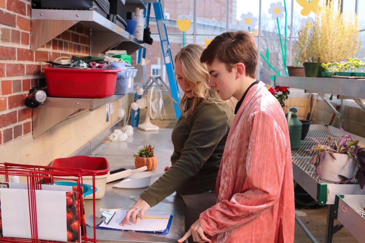 Ms Lestina shows Lukas Iverson the new spreadsheet for the greenhouse plants.