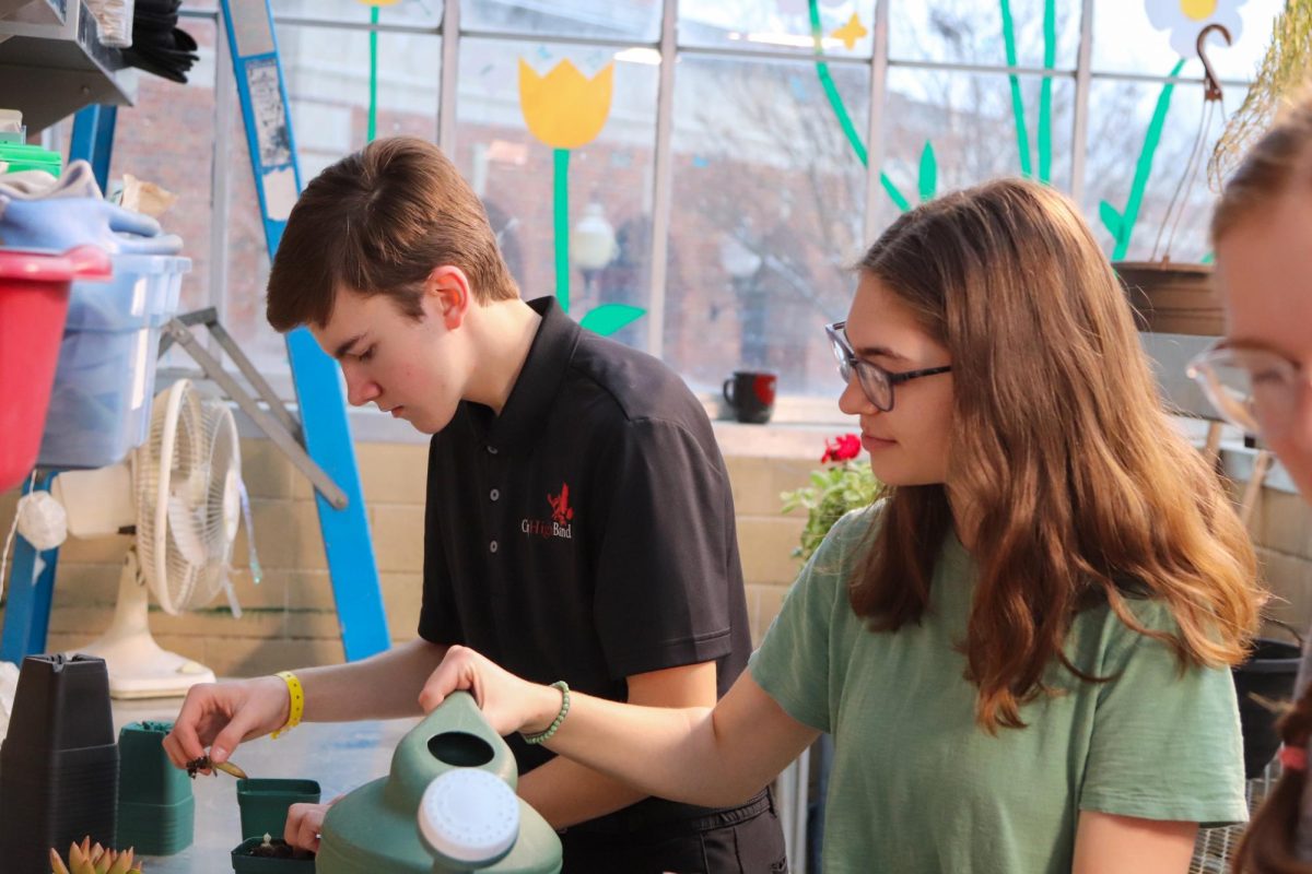 Lucas Iverson and Zoee Noble water and replant an Aloe plant.